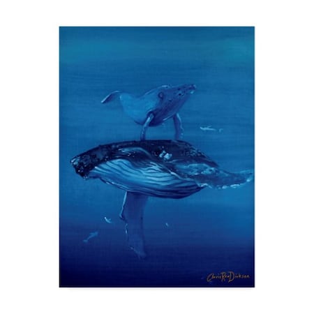 Cherie Roe Dirksen 'Whales Swimming' Canvas Art,14x19